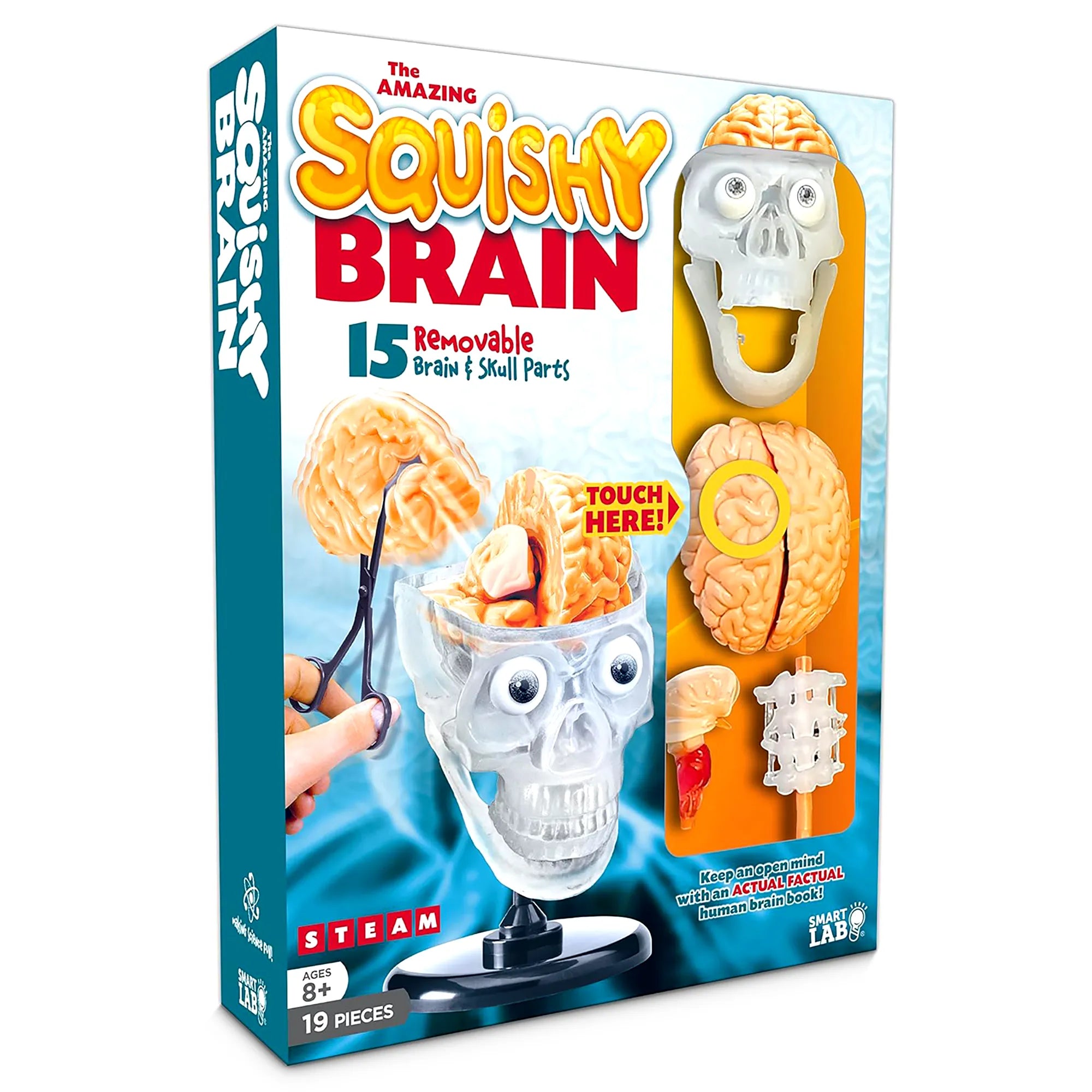 SmartLab The Amazing Squishy Brain - Interactive Anatomy for Kids - Age 8+ - Brown's Hobby & Game