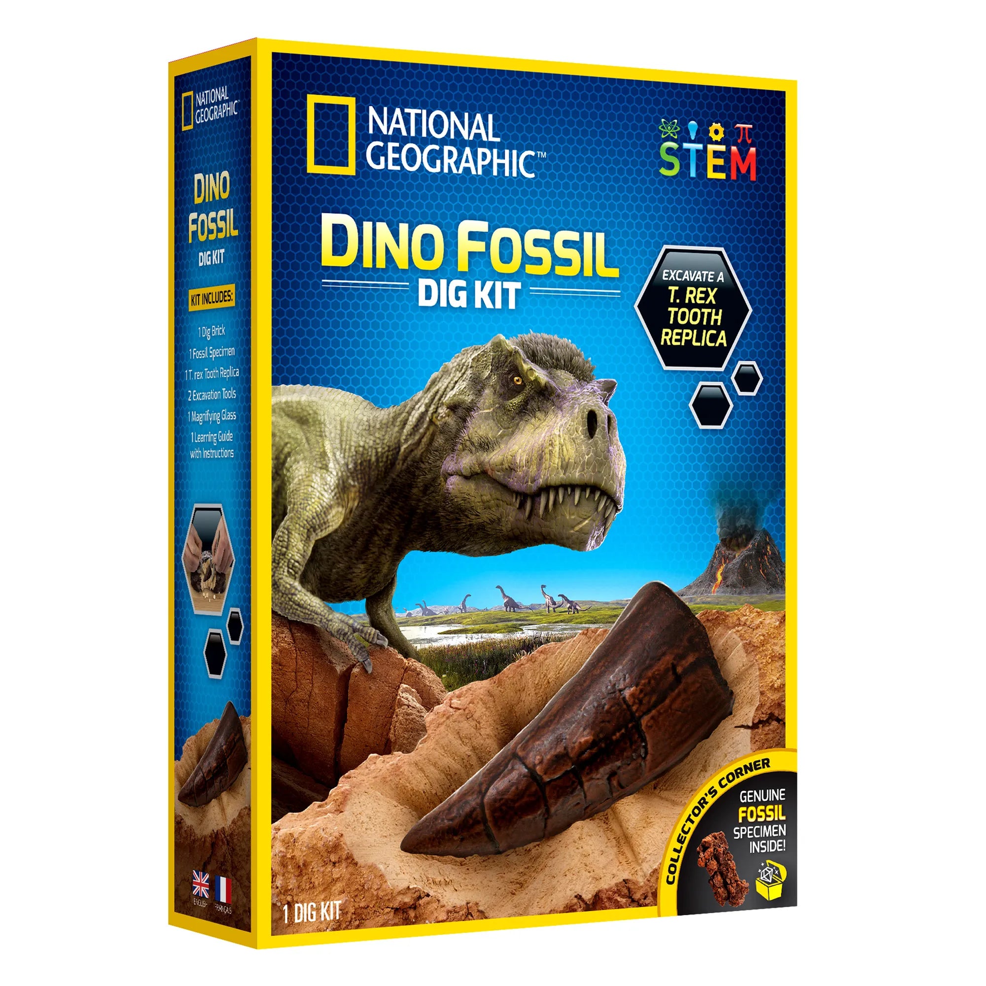 National Geographic Dino Fossil Dig Kit - Age 8+ - Brown's Hobby & Game