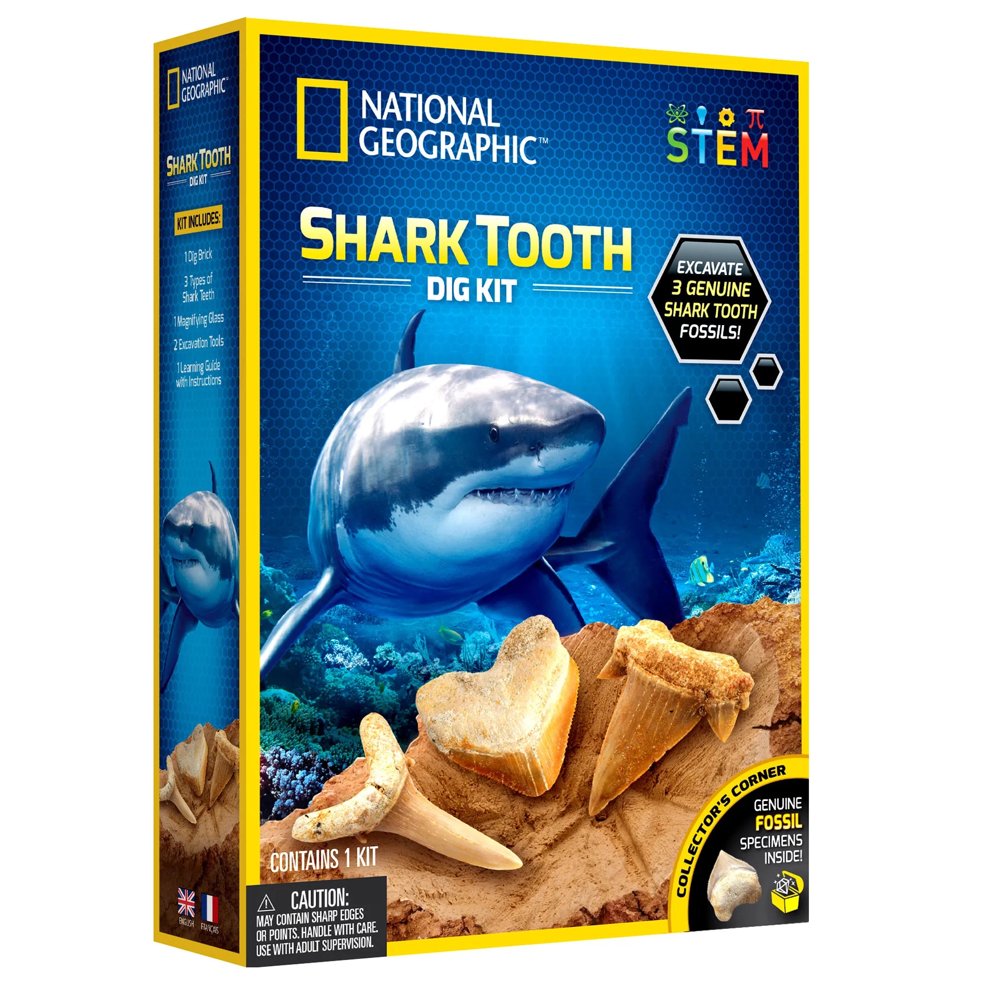 National Geographic Shark Tooth Dig Kit - Age 8+ - Brown's Hobby & Game